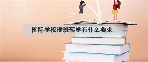 最新！14所上海国际、双语学校开放日、插班信息汇总 - 知乎