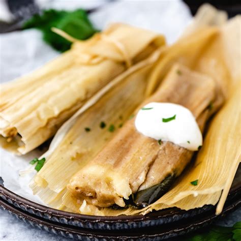 Vegetarian Masa Recipe For Tamales | Bryont Blog