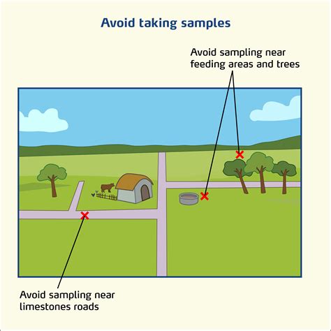 When is the best time to collect the soil sample? – YaraFarmcare India ...