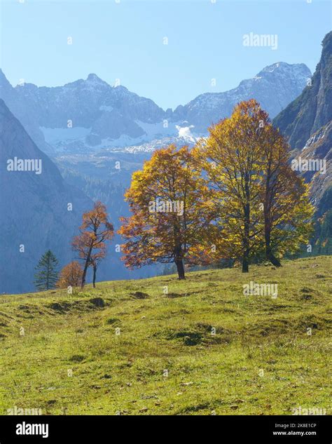 Image result for Simple CNN Example