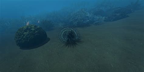 Image result for All Animals in Stranded Deep