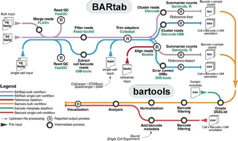 Image result for Cellular Barcoding Images