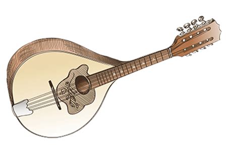 Country Instruments 的图像结果