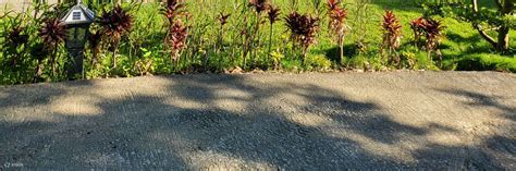 Miaoli Dorothy Style Glamping Spring Tent - Bell Tent No-Setup Camping ...