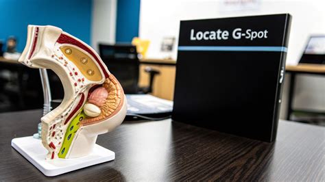 How to Get G-Spot: Tips for Better Pleasure & Satisfaction - G Spot 101