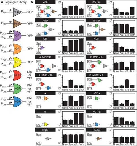 Image result for What Is Boolean Computing