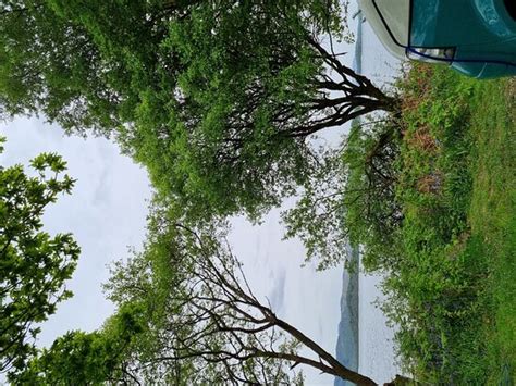 LUSS CARAVAN & CAMPSITE (Scotland) - Campground Reviews & Photos ...