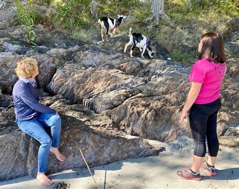 J & J FARM GALLIVANTING GOATS (2026) All You Need to Know BEFORE You Go ...