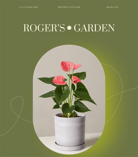 Online store of indoor plants "ROGER'S GARDEN" :: Behance