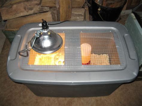 Brooder box | BackYard Chickens - Learn How to Raise Chickens
