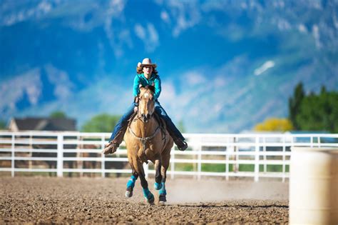 5 Best Horse Breeds for Barrel Racing in the Money - Horse Rookie