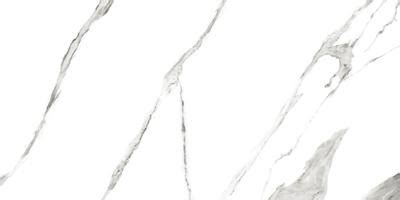 PACIFIC BIANCO HR Johnson Tiles Marble Pattern | White Glossy Vitrified ...