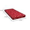 Smart Shelter 3-inch Orthopaedic Foam Single Size Bed Dual Comfort Hard ...