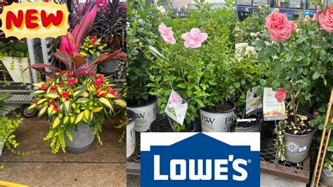 Image result for Lowe's Flower Garden