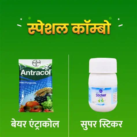 Bayer Antracol (500 gm) + IFC Super Sticker (40 ml) | Buy Now ...