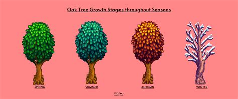 Ultimate Guide to Growing Oak Trees in Stardew Valley - Pigtou