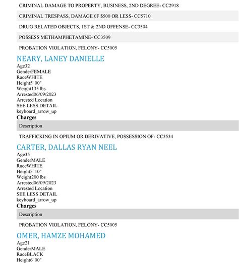 Whitfield County Sheriff's Office Arrest Report 6/4 - 6/11/2023 ...