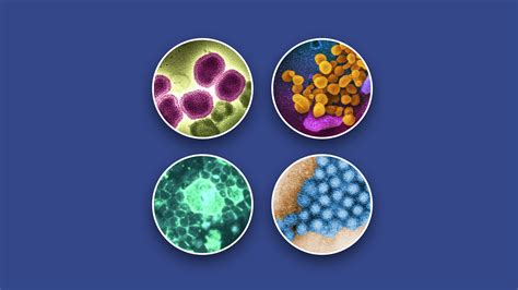 Norovirus symptoms: How long they last and the odds of reinfection