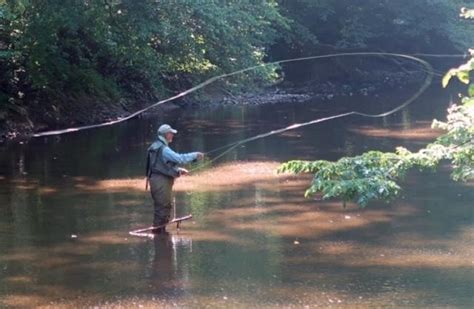 Fly Fishing Casting Videos at Helen Ball blog