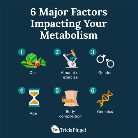 6 Major Factors Impacting Your Metabolism | Boost your metabolism, Metabolism, Slow metabolism