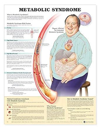 Buy Metabolic Syndrome Anatomical Chart Book Online at Low Prices in ...