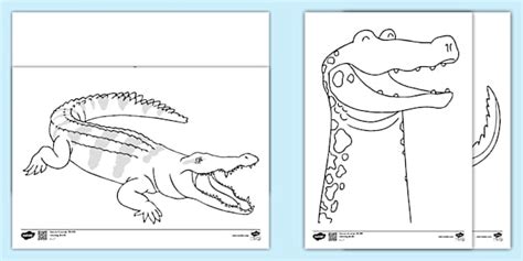 Crocodile Colouring Pages
