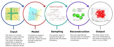Integration of Multiple Resolution Data in 3D Chromatin Reconstruction ...