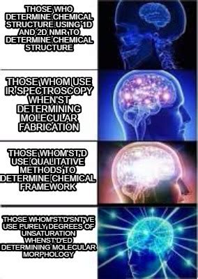 Structure Meme 的图像结果