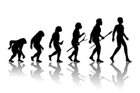 Early Man Evolution Chart 的图像结果
