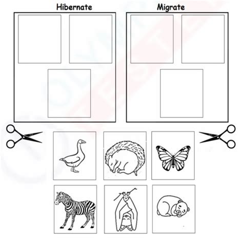 Kindergarten Worksheets – Page 41 – Olympiad tester