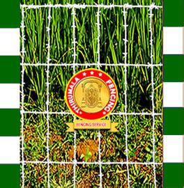 Fencing Services In Chennai | Fencing Works In Chennai | Fencing ...