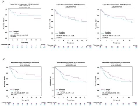 Prognostic and Therapeutic Implications of Cell Division Cycle 20 ...