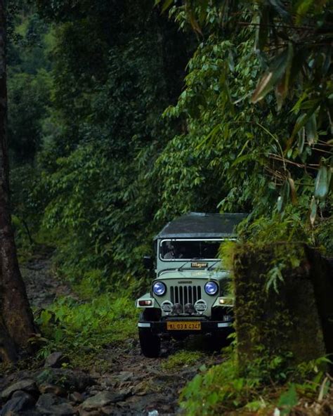 Best Tour Package to Mankulam | Munnar | Triplyf