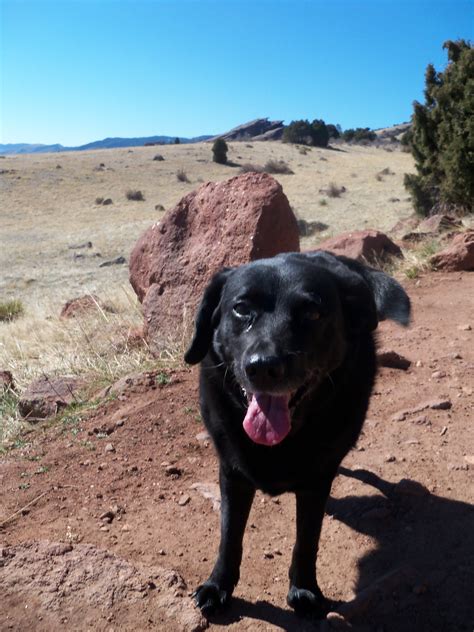 Trail and Park Reviews: Matthews Winters Park and Open Space - A sunny ...