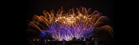 48 Inch Firework Display 的图像结果