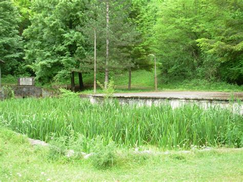 Nova letnja pozornica u Resniku | Sokobanja - 💚 Zeleno srce Srbije