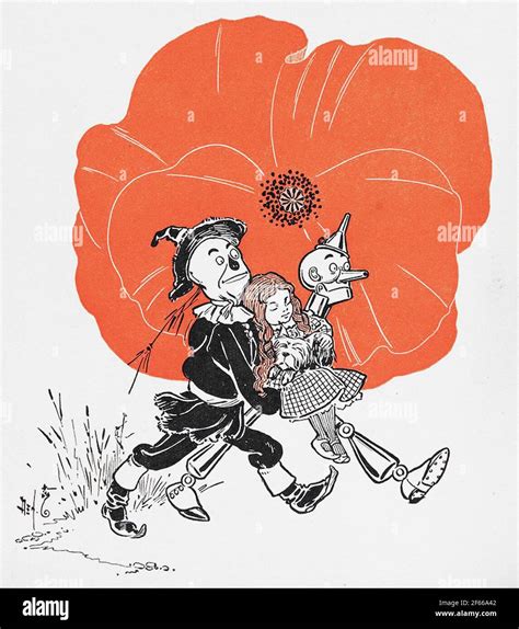 The Wizard Of Oz Book Illustrations