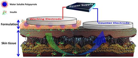 Controlled Transdermal Iontophoresis of Insulin from Water-Soluble ...