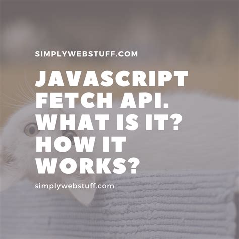 Fetch JavaScript 的图像结果