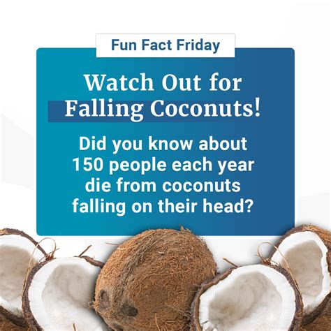 Just in time for summer vacations, you need to be aware that falling coconuts can be a true ...
