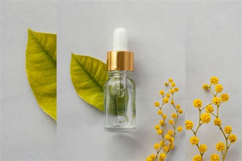 4 Natural Alternatives of Retinol For Skin Care Routine| Sadhev