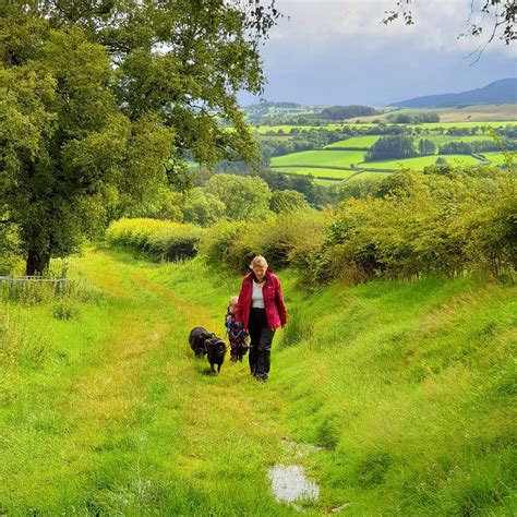 JACOB SHEEP TREKKING AND FARM EXPERIENCE DAYS (2026) All You Need to ...