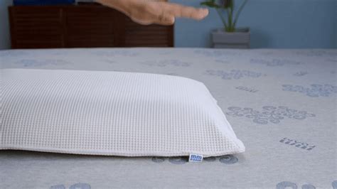 Dexxa Pillow (100% Organic Natural Latex) - Under leg pillow for back ...