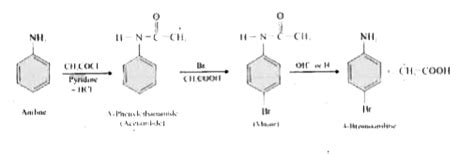 Give the equation for the conversion of aniline to 4-Bromo aniline.