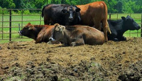 14 Things To Do In Wellington For An Unforgettable Vacation