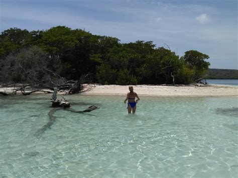 Blanquilla Island Tourism: All You Need to Know Before You Go (2024)