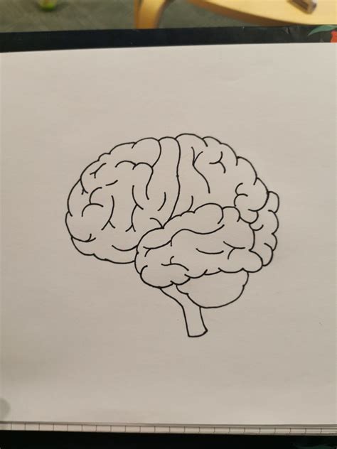 Brain diagram | Brain drawing, Brain drawing simple, Yoga poster design