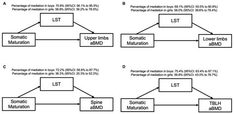 The Mediating Role of Lean Soft Tissue in the Relationship between ...
