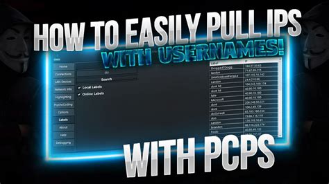 IP Puller Tutorial 的图像结果