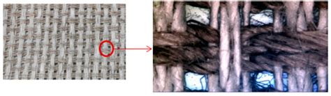 A Characterization of the Damage Process under Buckling Load in ...